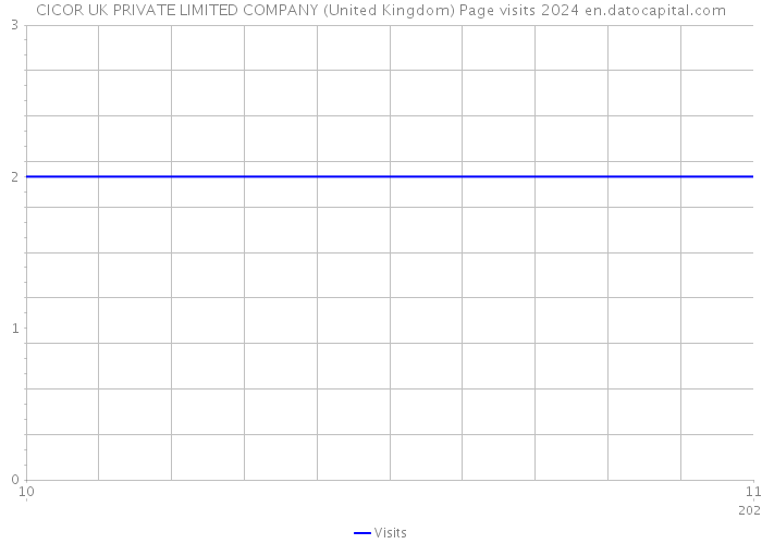 CICOR UK PRIVATE LIMITED COMPANY (United Kingdom) Page visits 2024 