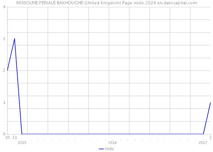 MISSOUNE FERIALE BAKHOUCHE (United Kingdom) Page visits 2024 