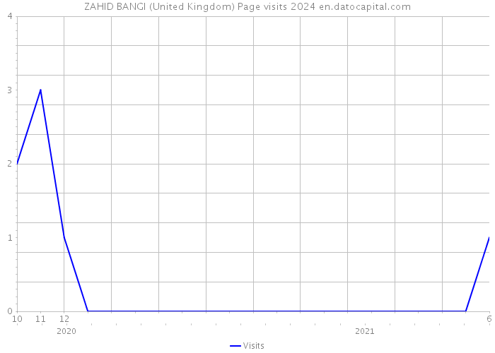 ZAHID BANGI (United Kingdom) Page visits 2024 