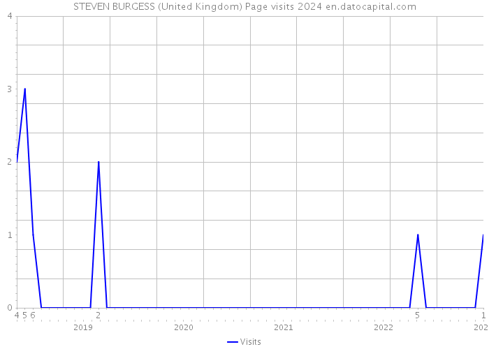 STEVEN BURGESS (United Kingdom) Page visits 2024 