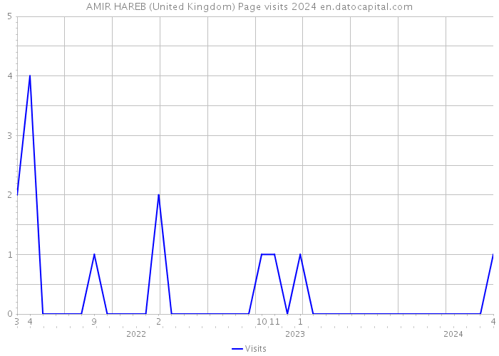 AMIR HAREB (United Kingdom) Page visits 2024 