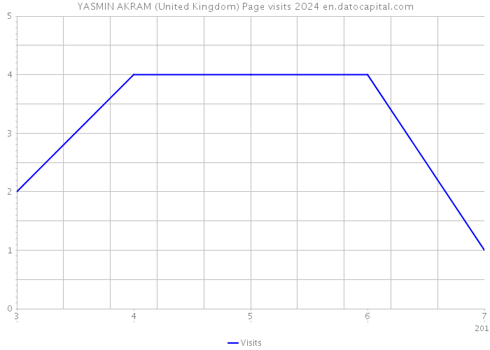 YASMIN AKRAM (United Kingdom) Page visits 2024 