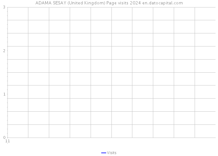 ADAMA SESAY (United Kingdom) Page visits 2024 