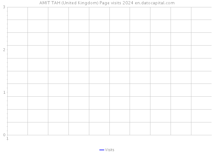AMIT TAH (United Kingdom) Page visits 2024 