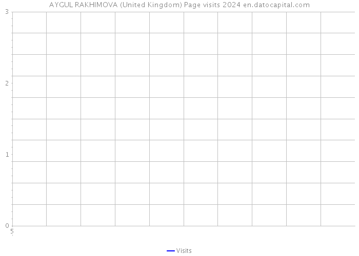 AYGUL RAKHIMOVA (United Kingdom) Page visits 2024 