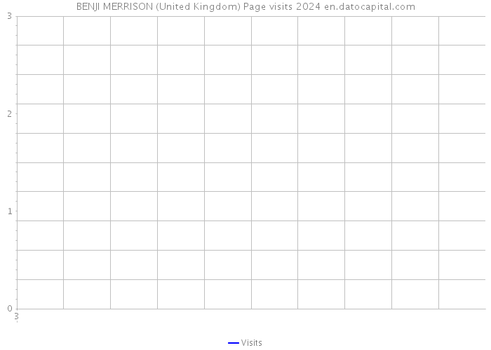 BENJI MERRISON (United Kingdom) Page visits 2024 