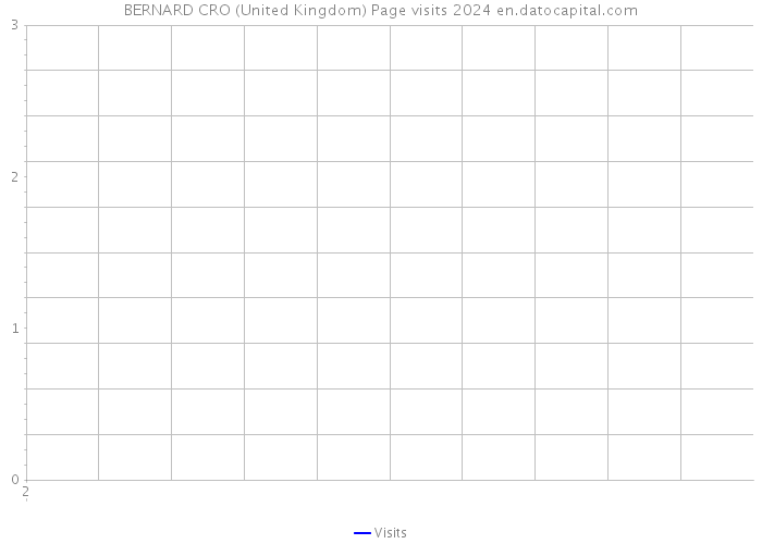 BERNARD CRO (United Kingdom) Page visits 2024 