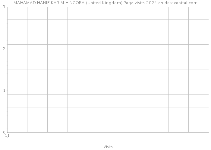 MAHAMAD HANIF KARIM HINGORA (United Kingdom) Page visits 2024 