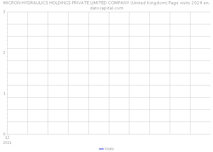 MICRON HYDRAULICS HOLDINGS PRIVATE LIMITED COMPANY (United Kingdom) Page visits 2024 