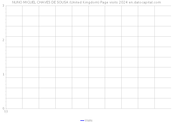 NUNO MIGUEL CHAVES DE SOUSA (United Kingdom) Page visits 2024 