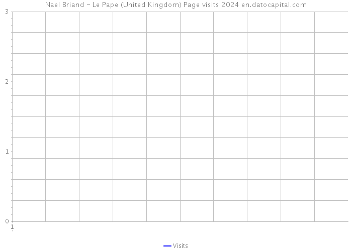 Nael Briand - Le Pape (United Kingdom) Page visits 2024 