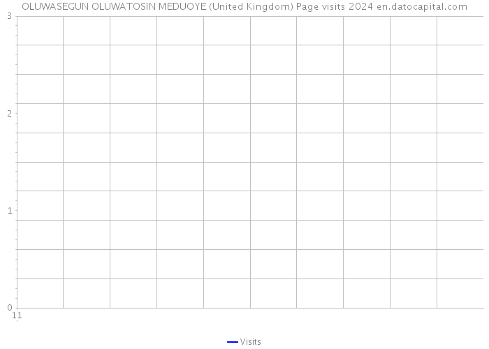 OLUWASEGUN OLUWATOSIN MEDUOYE (United Kingdom) Page visits 2024 