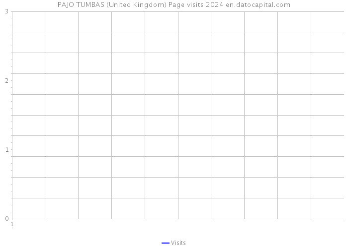 PAJO TUMBAS (United Kingdom) Page visits 2024 