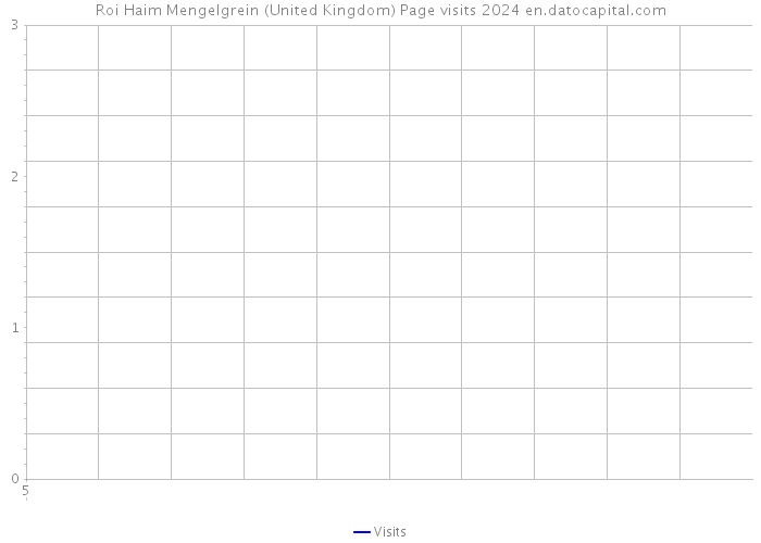 Roi Haim Mengelgrein (United Kingdom) Page visits 2024 