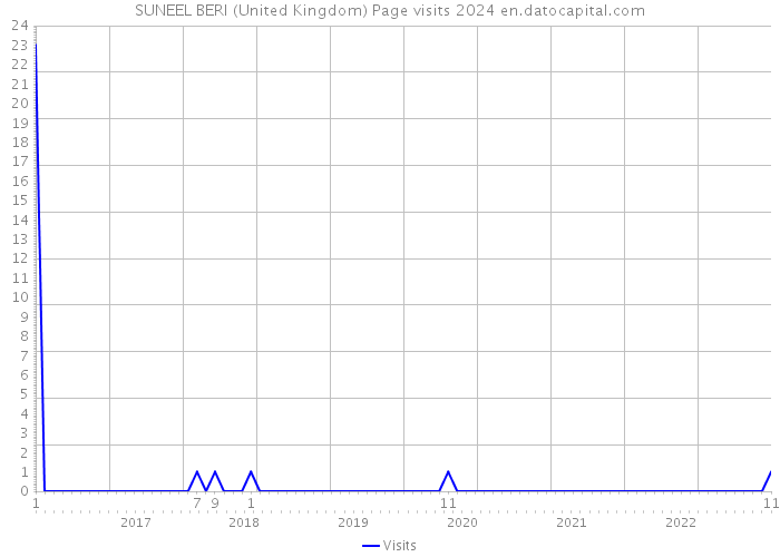 SUNEEL BERI (United Kingdom) Page visits 2024 