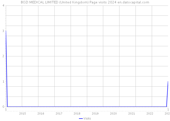 BOZI MEDICAL LIMITED (United Kingdom) Page visits 2024 