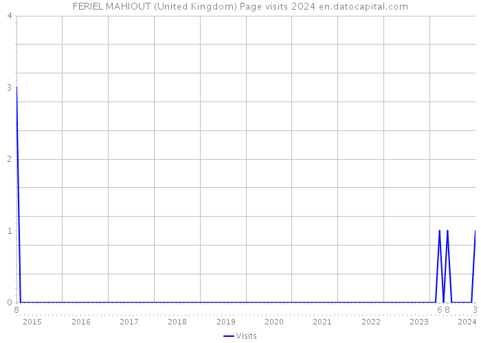 FERIEL MAHIOUT (United Kingdom) Page visits 2024 