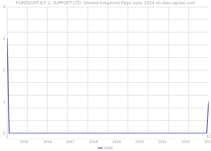 FORESIGHT E.F.G. SUPPORT LTD. (United Kingdom) Page visits 2024 