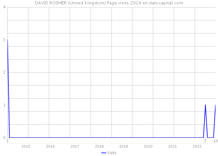 DAVID ROSHER (United Kingdom) Page visits 2024 