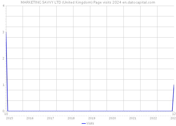 MARKETING SAVVY LTD (United Kingdom) Page visits 2024 