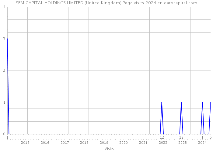 SFM CAPITAL HOLDINGS LIMITED (United Kingdom) Page visits 2024 