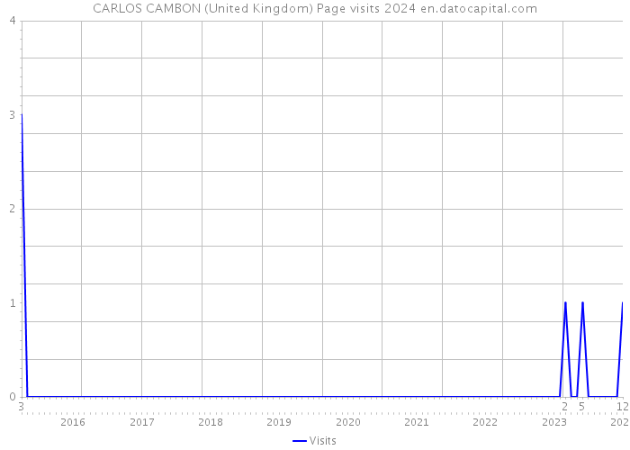 CARLOS CAMBON (United Kingdom) Page visits 2024 