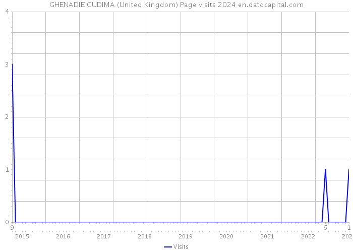 GHENADIE GUDIMA (United Kingdom) Page visits 2024 