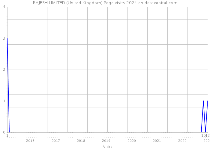 RAJESH LIMITED (United Kingdom) Page visits 2024 