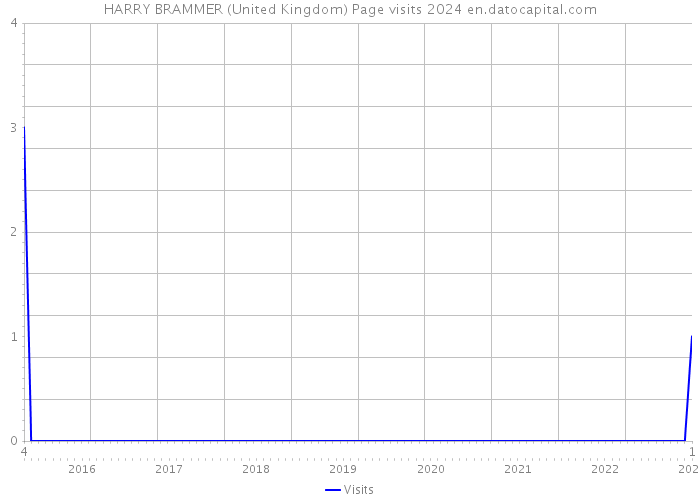 HARRY BRAMMER (United Kingdom) Page visits 2024 