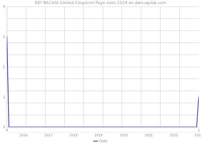 REY BACANI (United Kingdom) Page visits 2024 