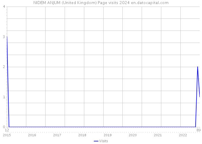 NIDEM ANJUM (United Kingdom) Page visits 2024 