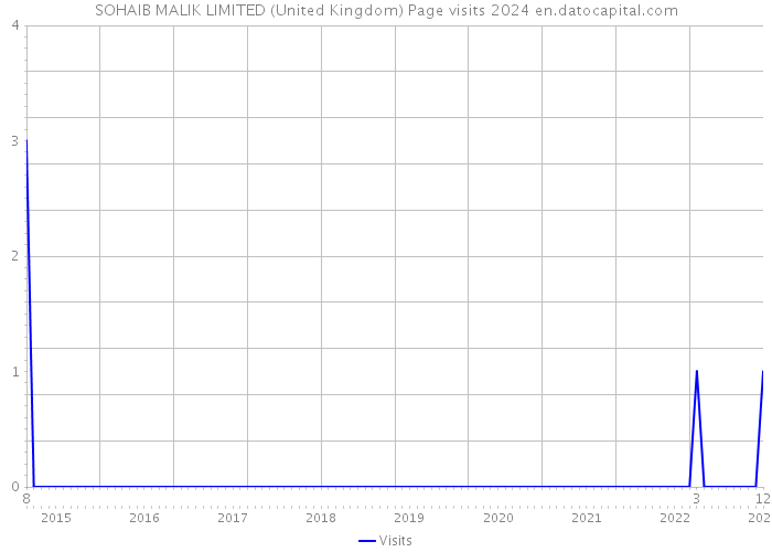 SOHAIB MALIK LIMITED (United Kingdom) Page visits 2024 