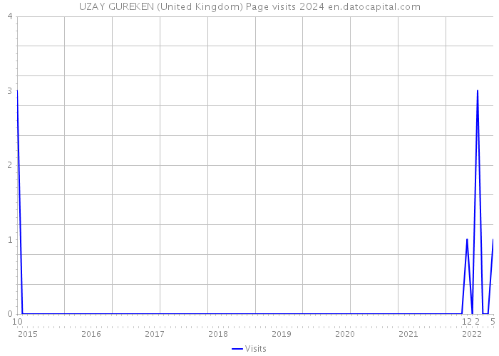 UZAY GUREKEN (United Kingdom) Page visits 2024 