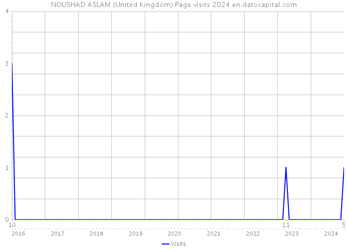 NOUSHAD ASLAM (United Kingdom) Page visits 2024 