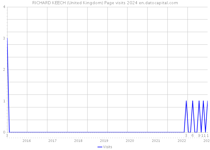 RICHARD KEECH (United Kingdom) Page visits 2024 