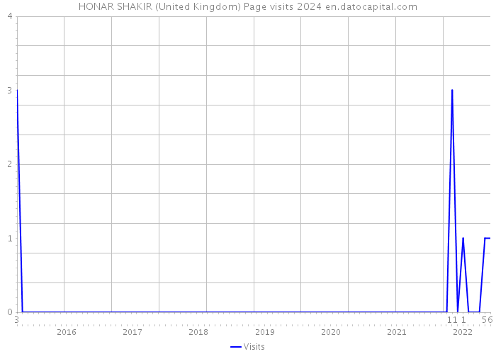 HONAR SHAKIR (United Kingdom) Page visits 2024 