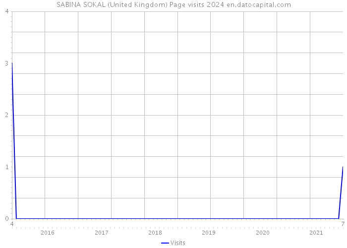 SABINA SOKAL (United Kingdom) Page visits 2024 