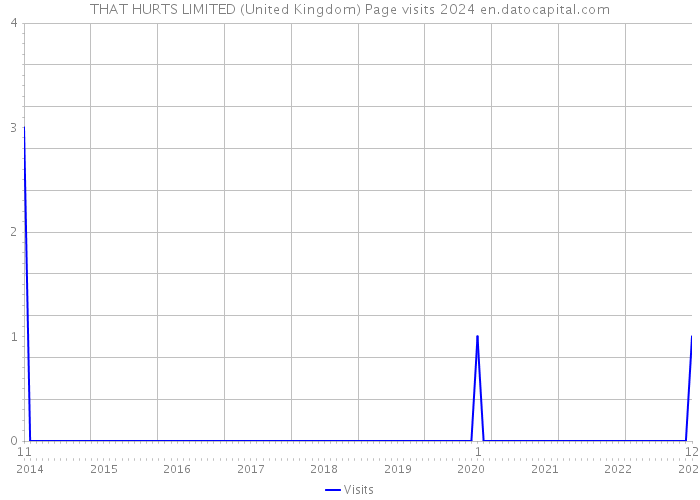 THAT HURTS LIMITED (United Kingdom) Page visits 2024 