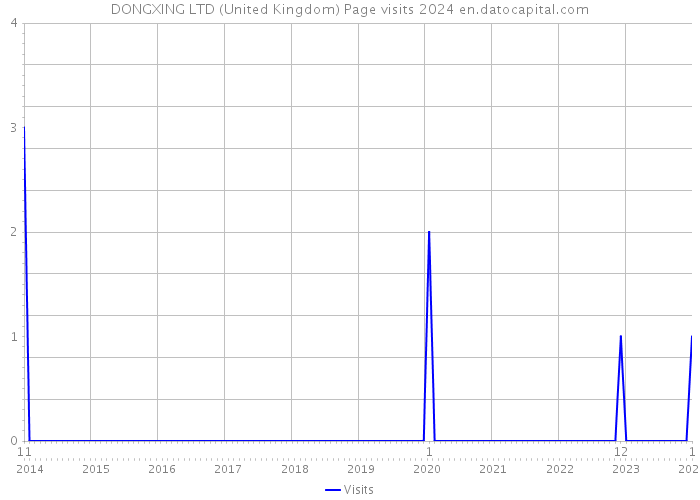 DONGXING LTD (United Kingdom) Page visits 2024 