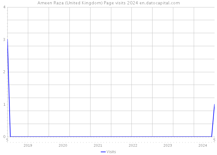 Ameen Raza (United Kingdom) Page visits 2024 