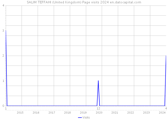 SALIM TEFFAHI (United Kingdom) Page visits 2024 