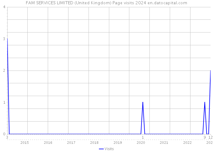 FAM SERVICES LIMITED (United Kingdom) Page visits 2024 