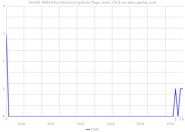 DIANA HAROUN (United Kingdom) Page visits 2024 