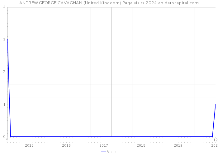 ANDREW GEORGE CAVAGHAN (United Kingdom) Page visits 2024 