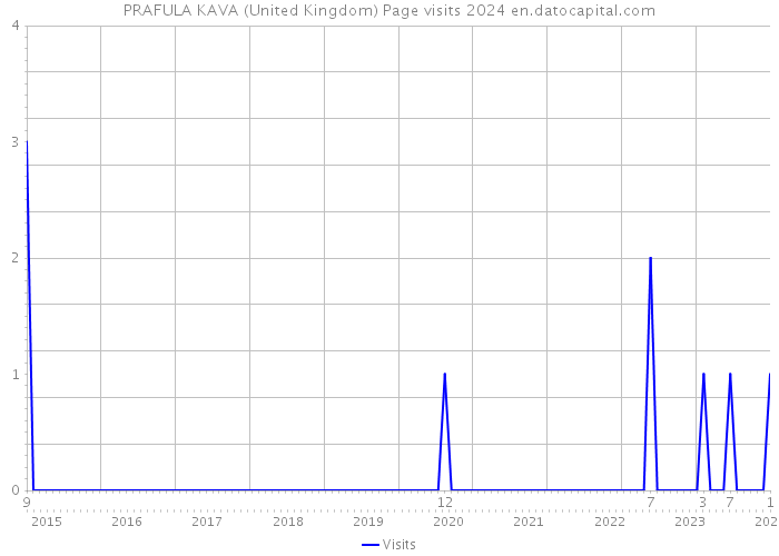 PRAFULA KAVA (United Kingdom) Page visits 2024 