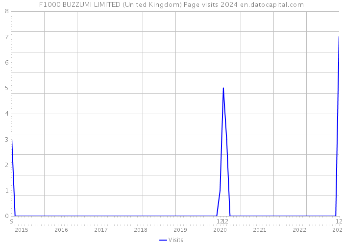 F1000 BUZZUMI LIMITED (United Kingdom) Page visits 2024 