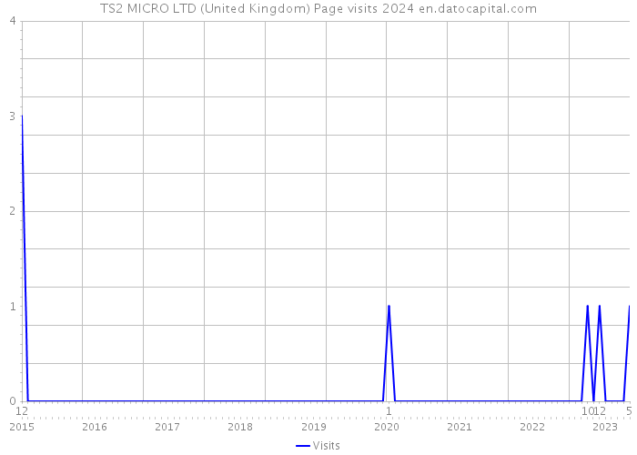 TS2 MICRO LTD (United Kingdom) Page visits 2024 