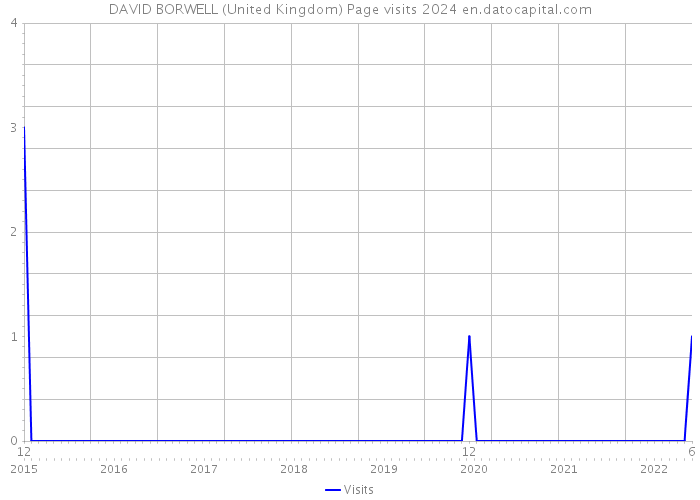 DAVID BORWELL (United Kingdom) Page visits 2024 