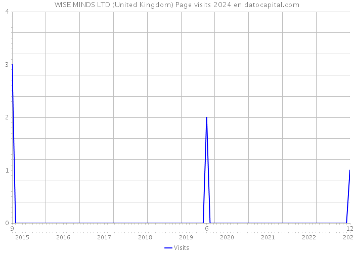 WISE MINDS LTD (United Kingdom) Page visits 2024 