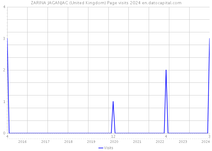 ZARINA JAGANJAC (United Kingdom) Page visits 2024 